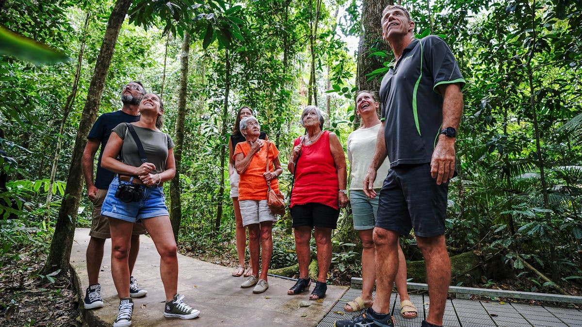 Guide sharing his knowledge of the Daintree Rainforest with tour guests