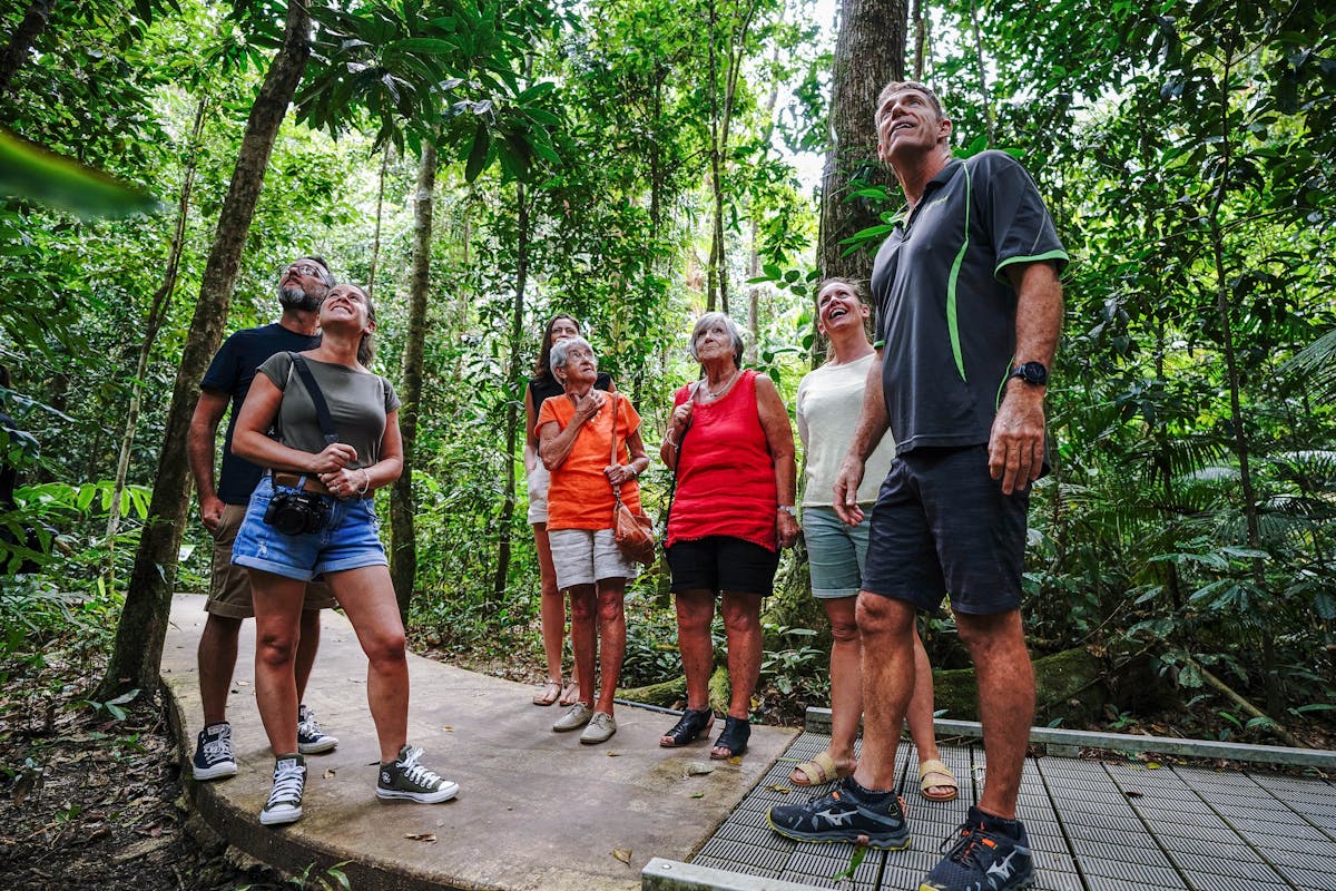 Guide sharing his knowledge of the Daintree Rainforest with tour guests