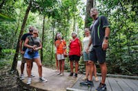 Guide sharing his knowledge of the Daintree Rainforest with tour guests