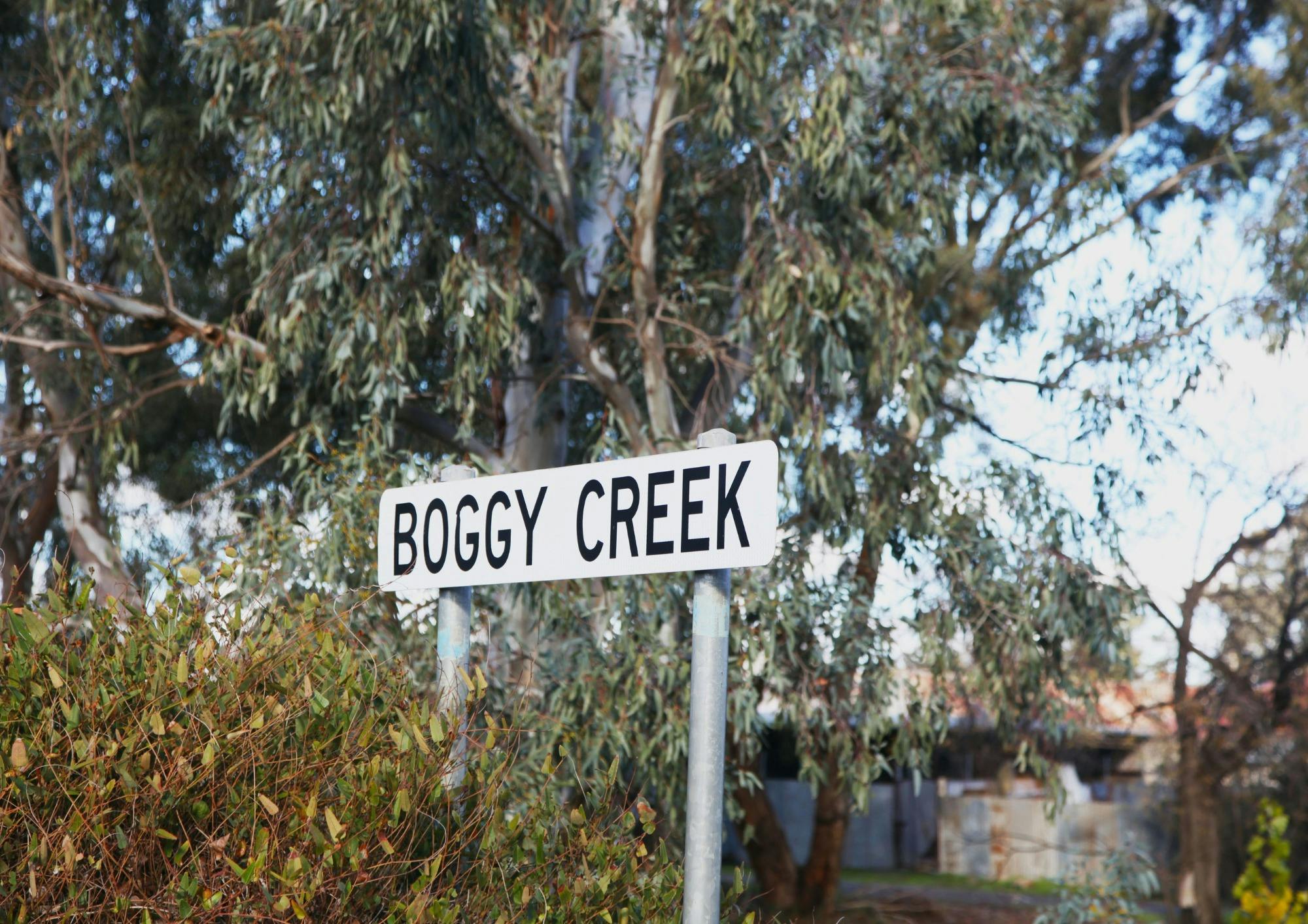 Boggy creek location on the trails in Ganmain
