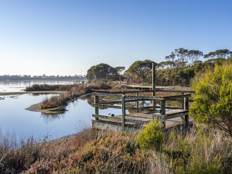 Lake Curalo Boardwalk, Eden, walks, boardwalk, lagoon, Sapphire Coast, South Coast, beach walks