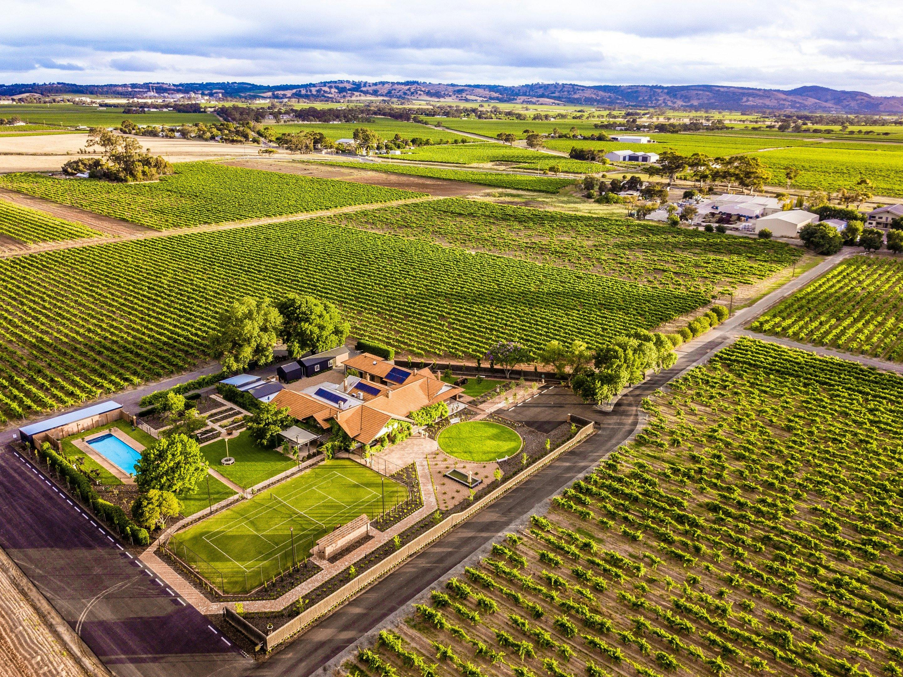 Elderton Wines an aerial view