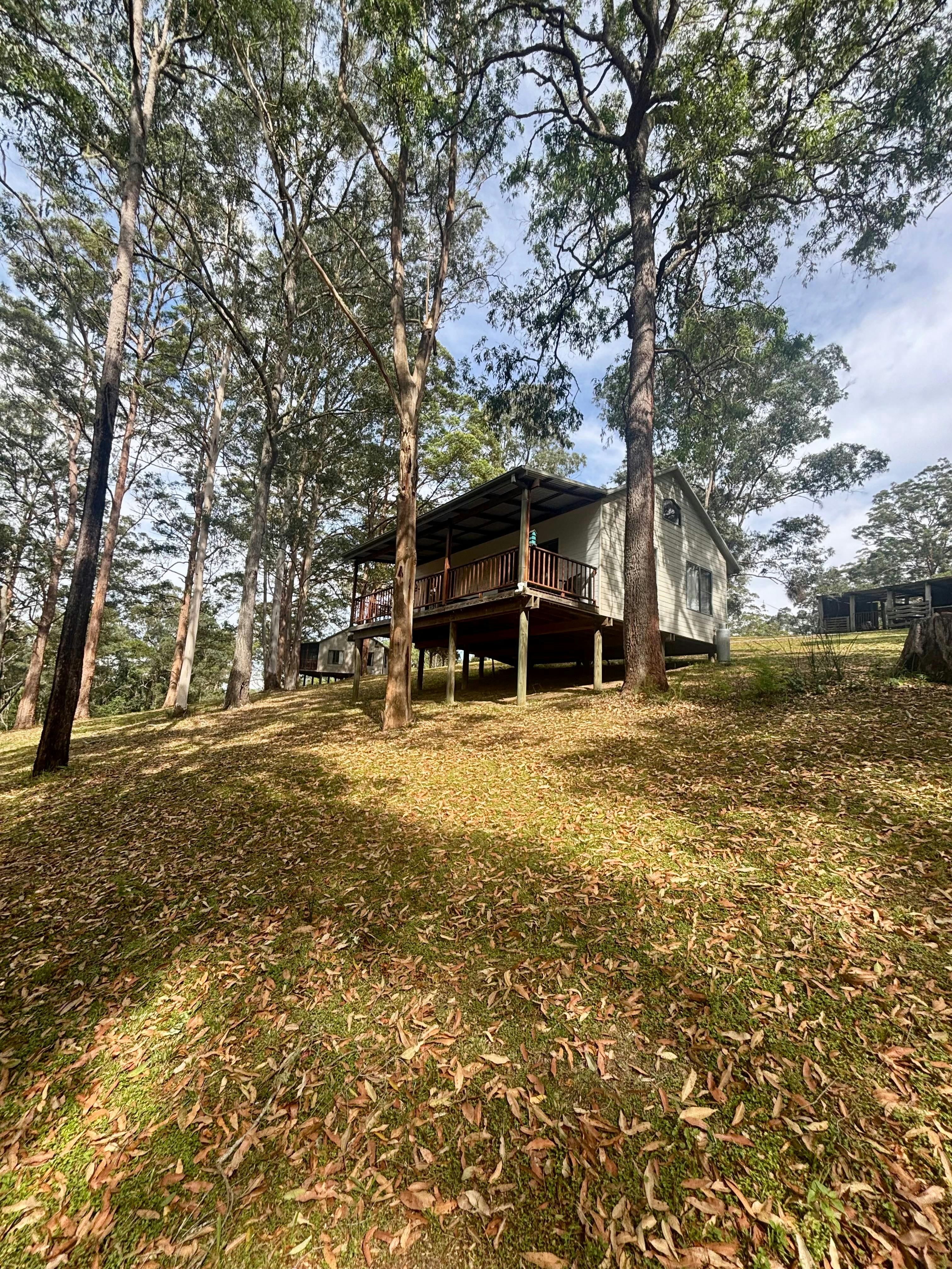 Cottage with large balcony overlooking rainforest