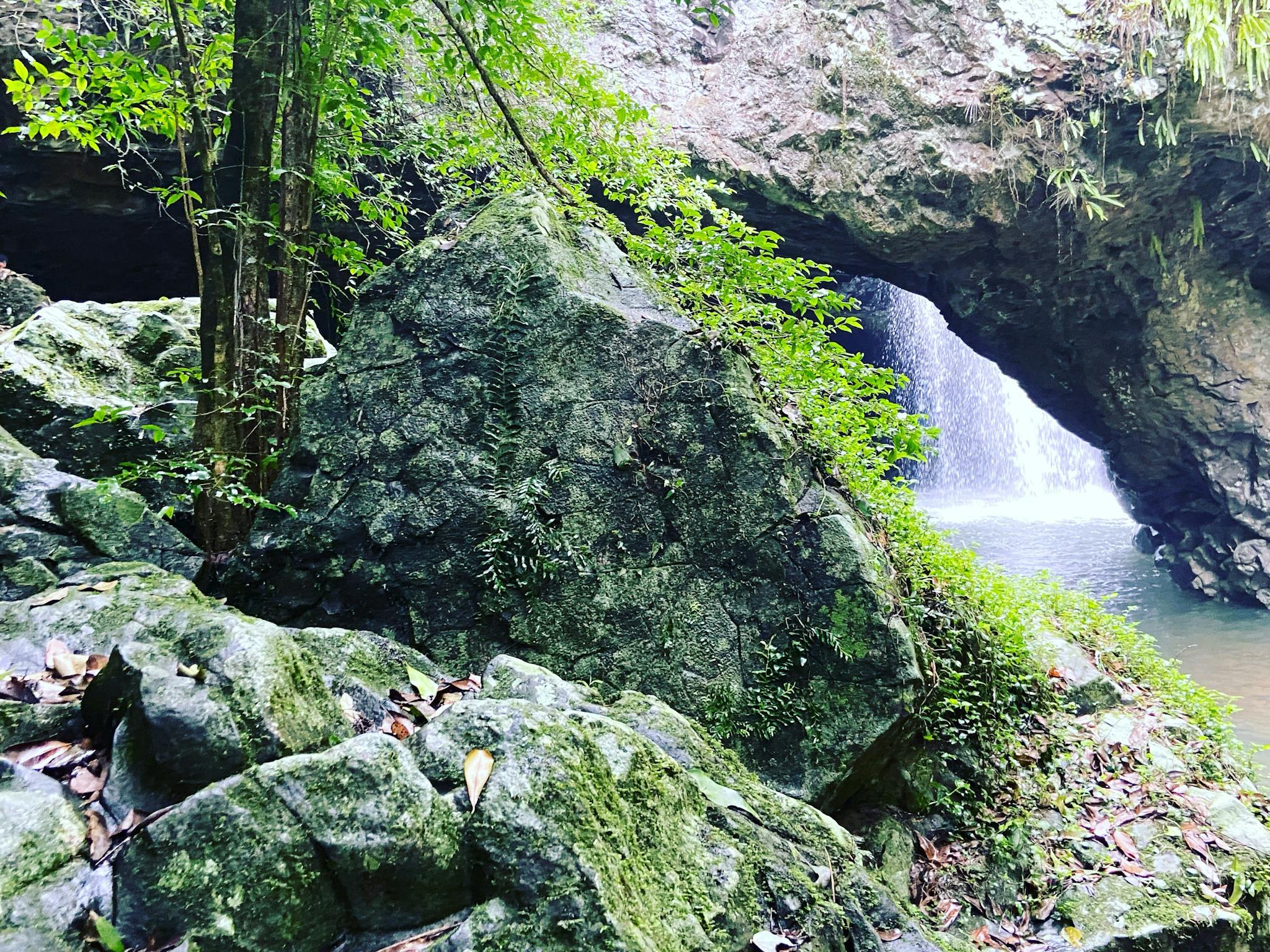 Natural Bridge Natural Bridge