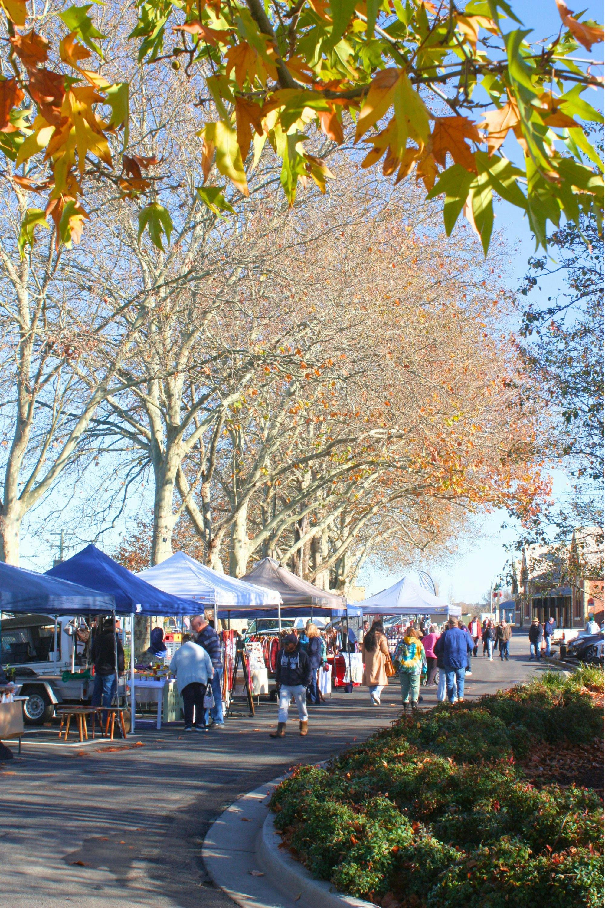The markets in late autumn.