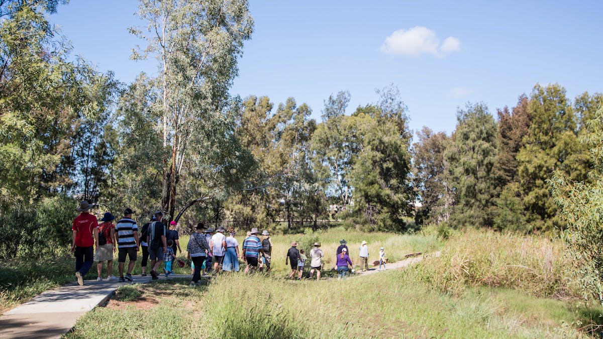 A group of people walking on a cement path through a bush garden