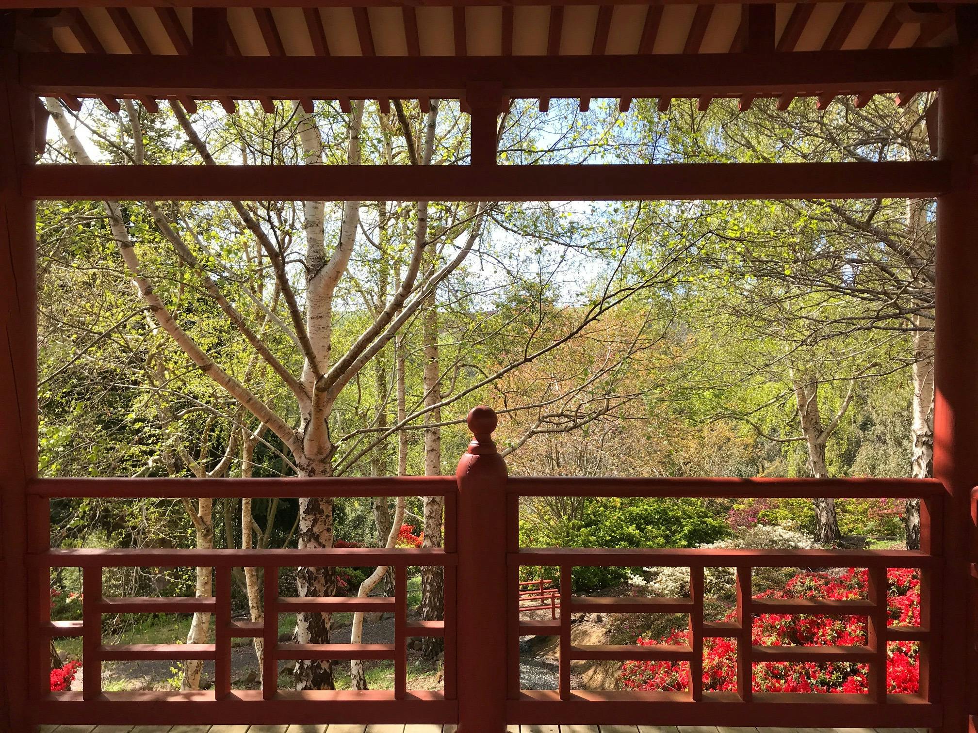 ese style garden in spring