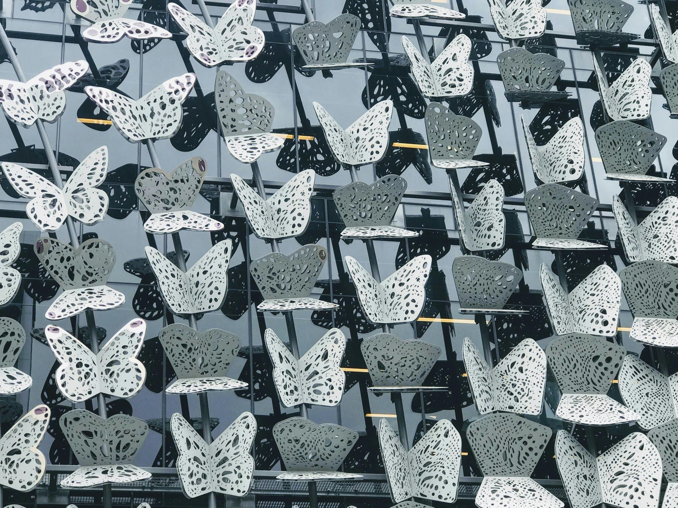 See things you might not normally see