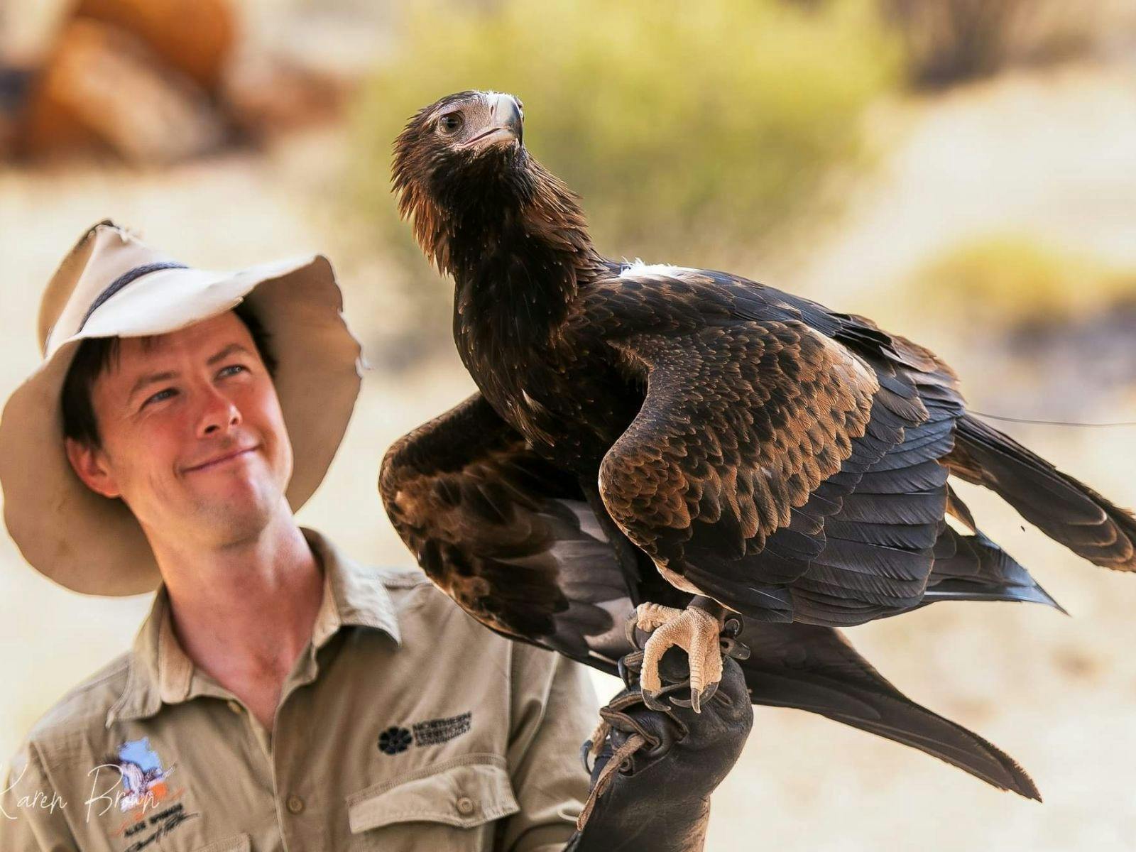 Desert park Nature Theatre keeper with Wedge-tailed eagle