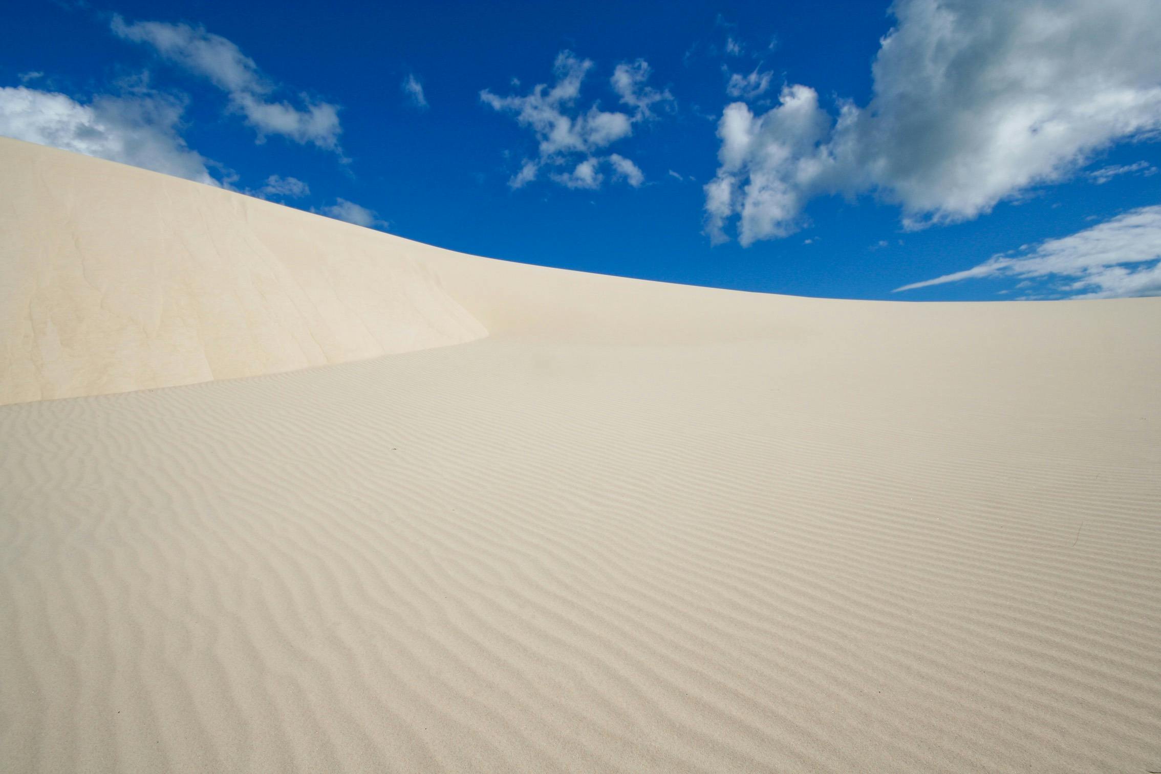 Tangalooma Southern Safari Tour
