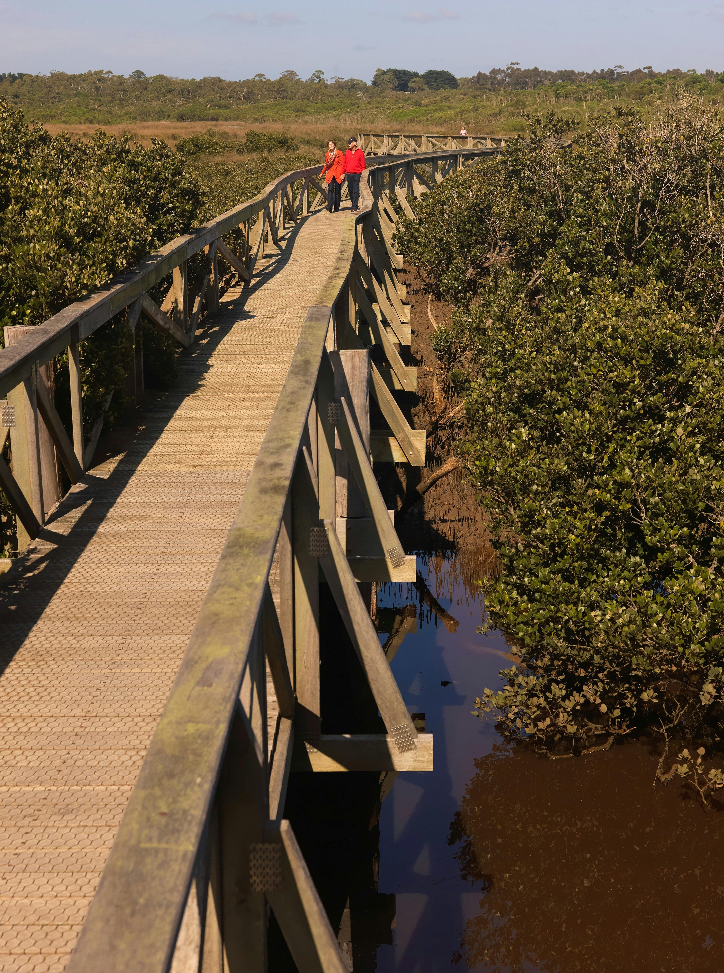 Warringine Boardwalk