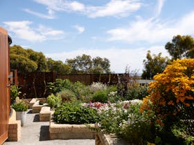 The freshest herbs and edible flowers make our dishes stand out