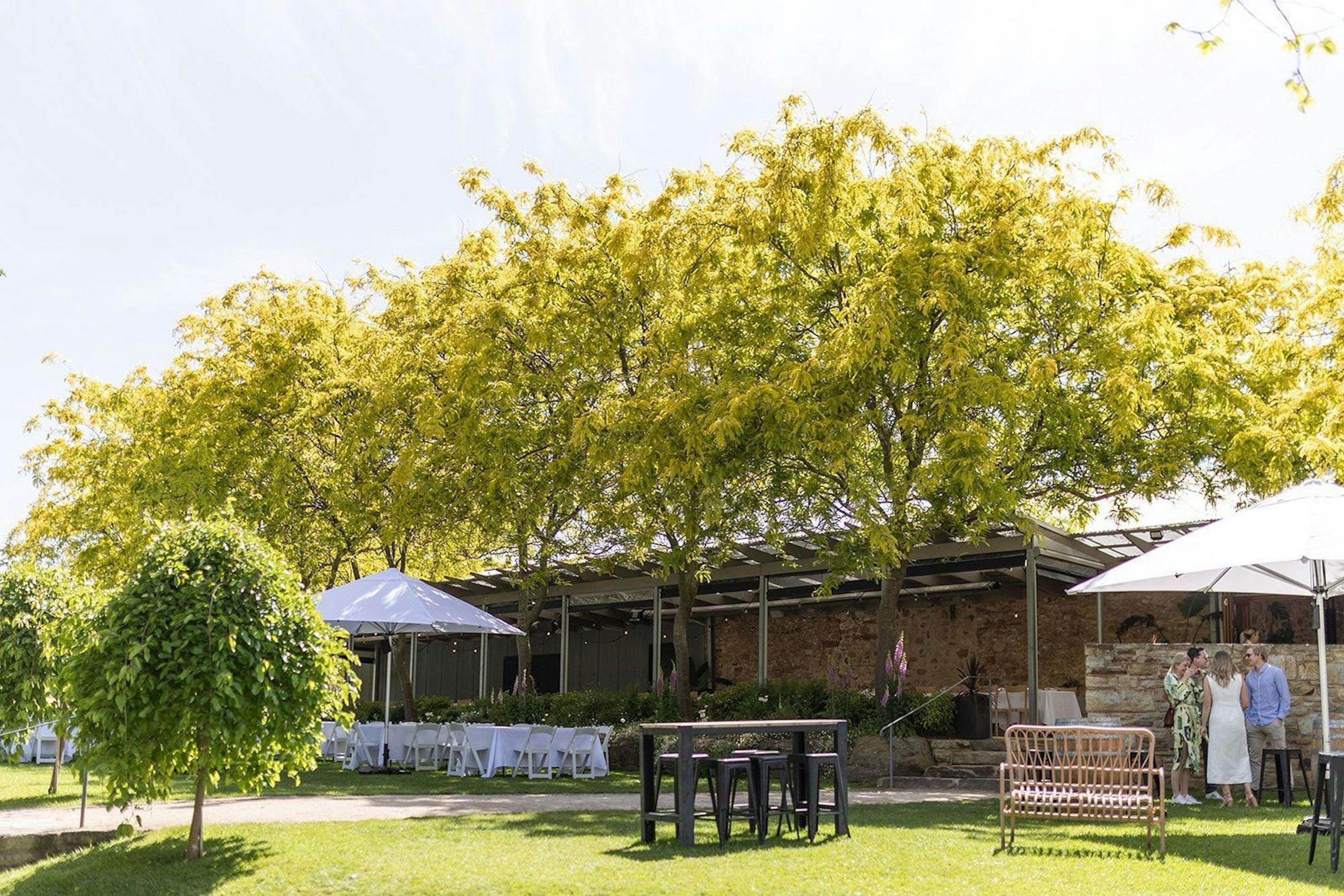 relax and enjoy yourself at Howard Vineyard