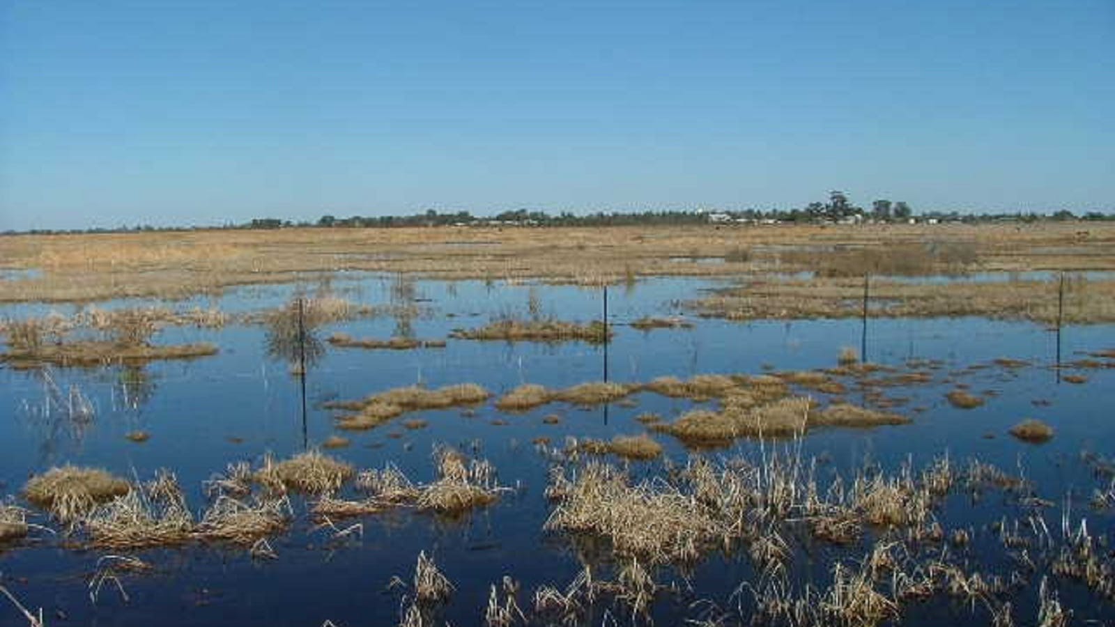 Fivebough Wetlands