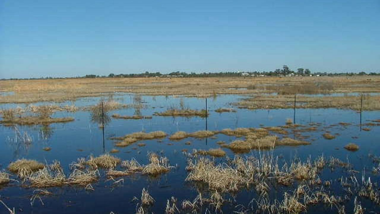 Fivebough Wetlands