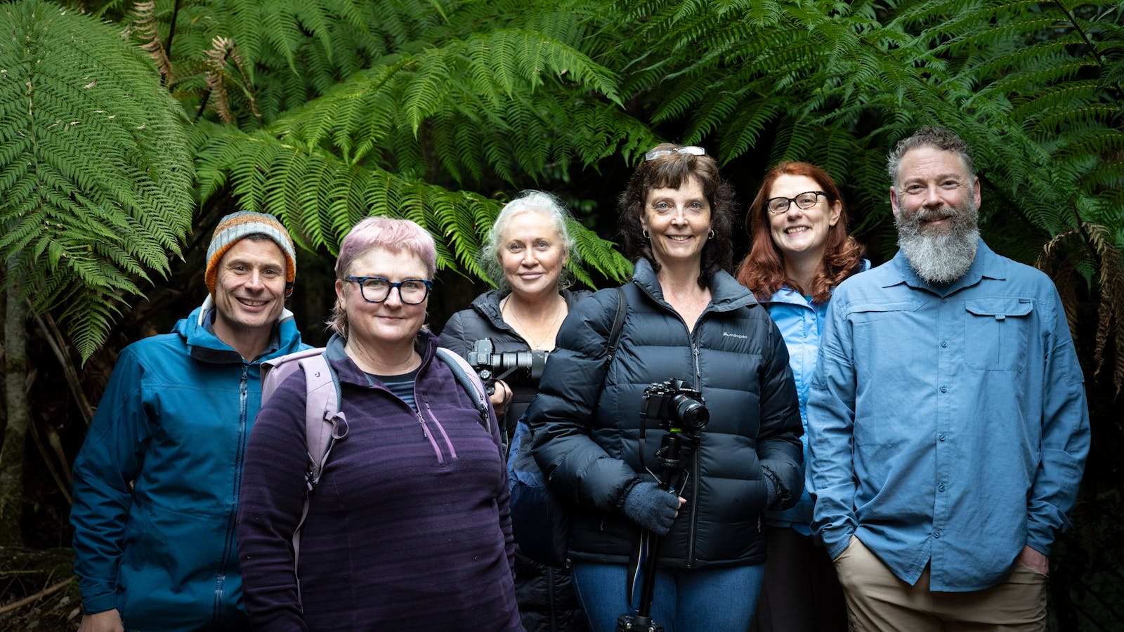 Fungi Workshop