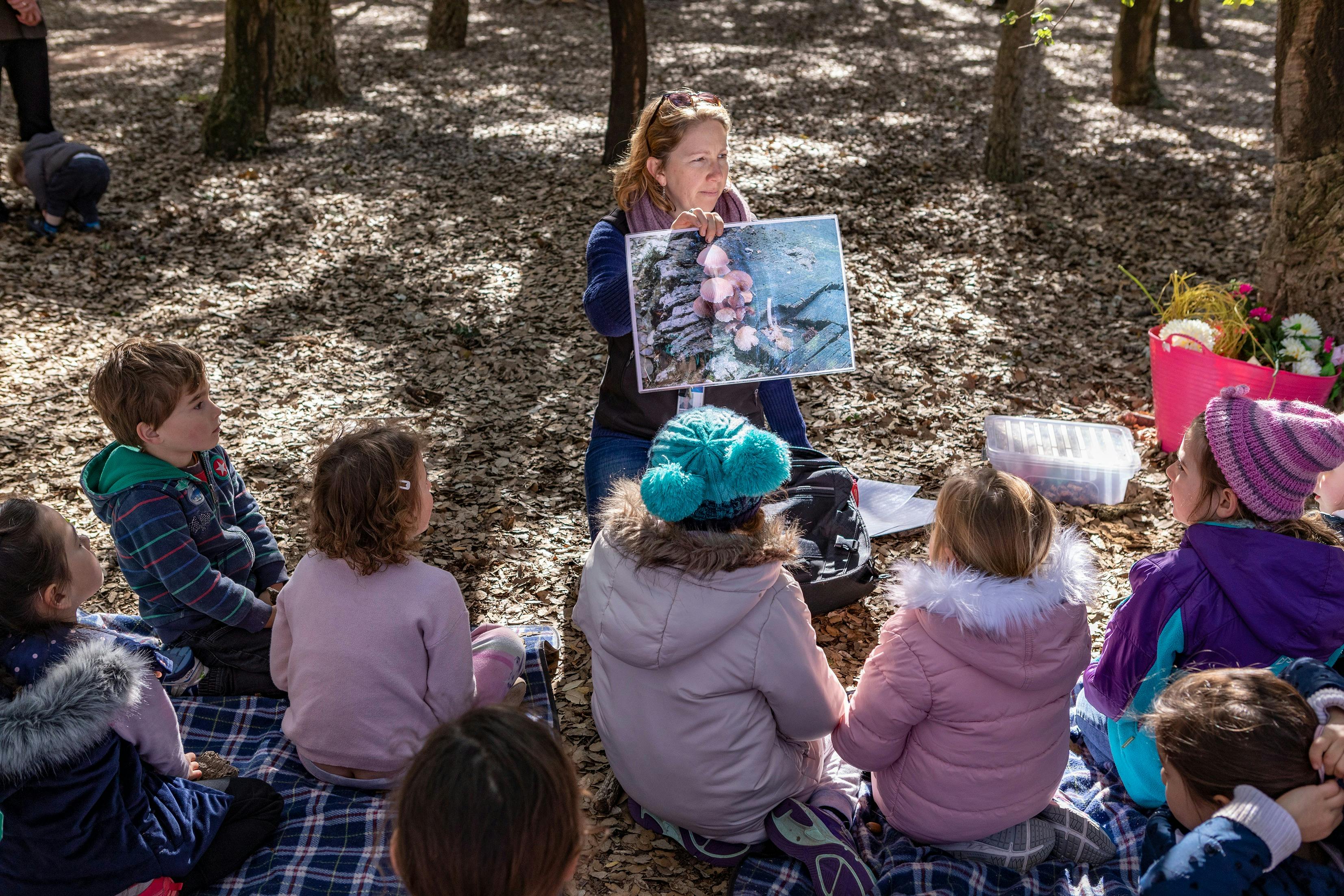 children listening to a story in the forest