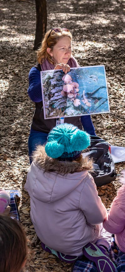 children listening to a story in the forest