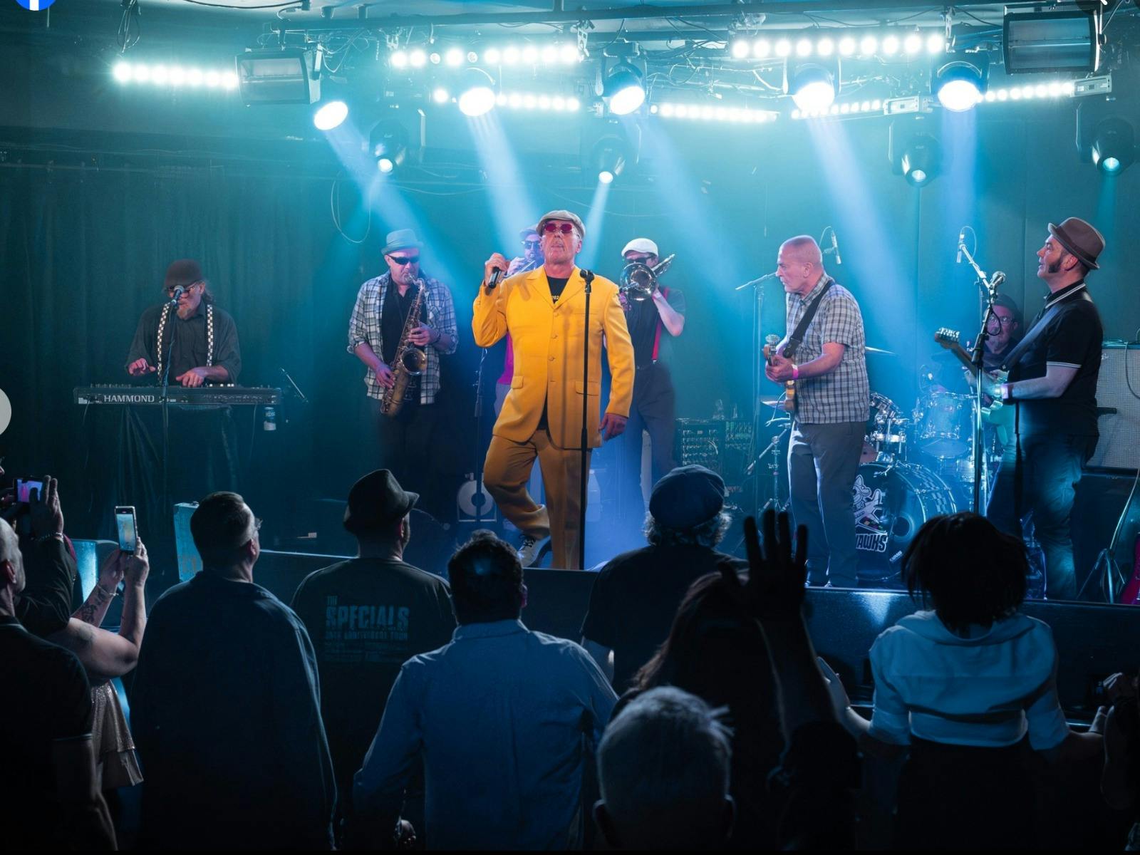 Live shot of the Loonee Tunes band on stage