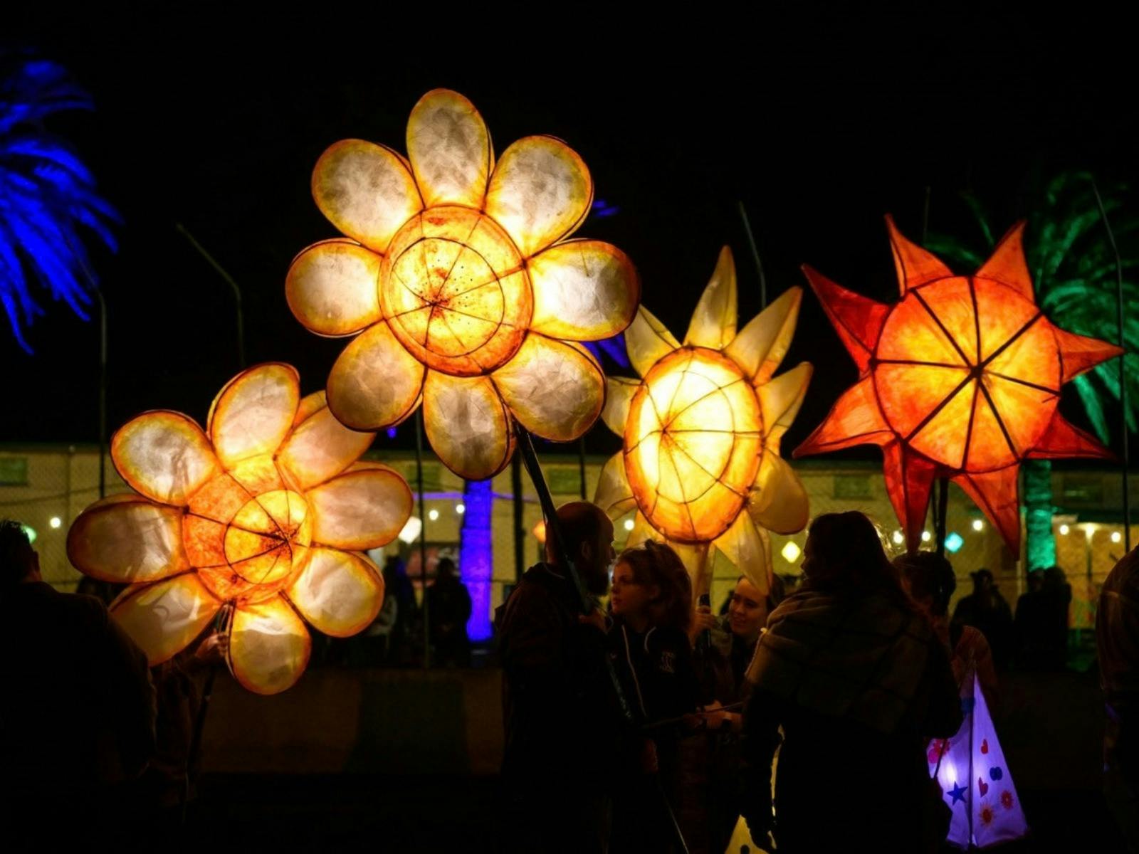 Illuminated Flower Lanterns