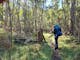 A hiker on a track deep in the bush of the Victorian High Country.