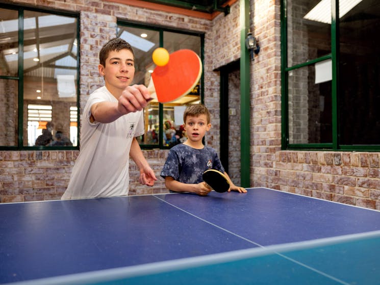 Two young boys standing in front of a blue table tennis table.