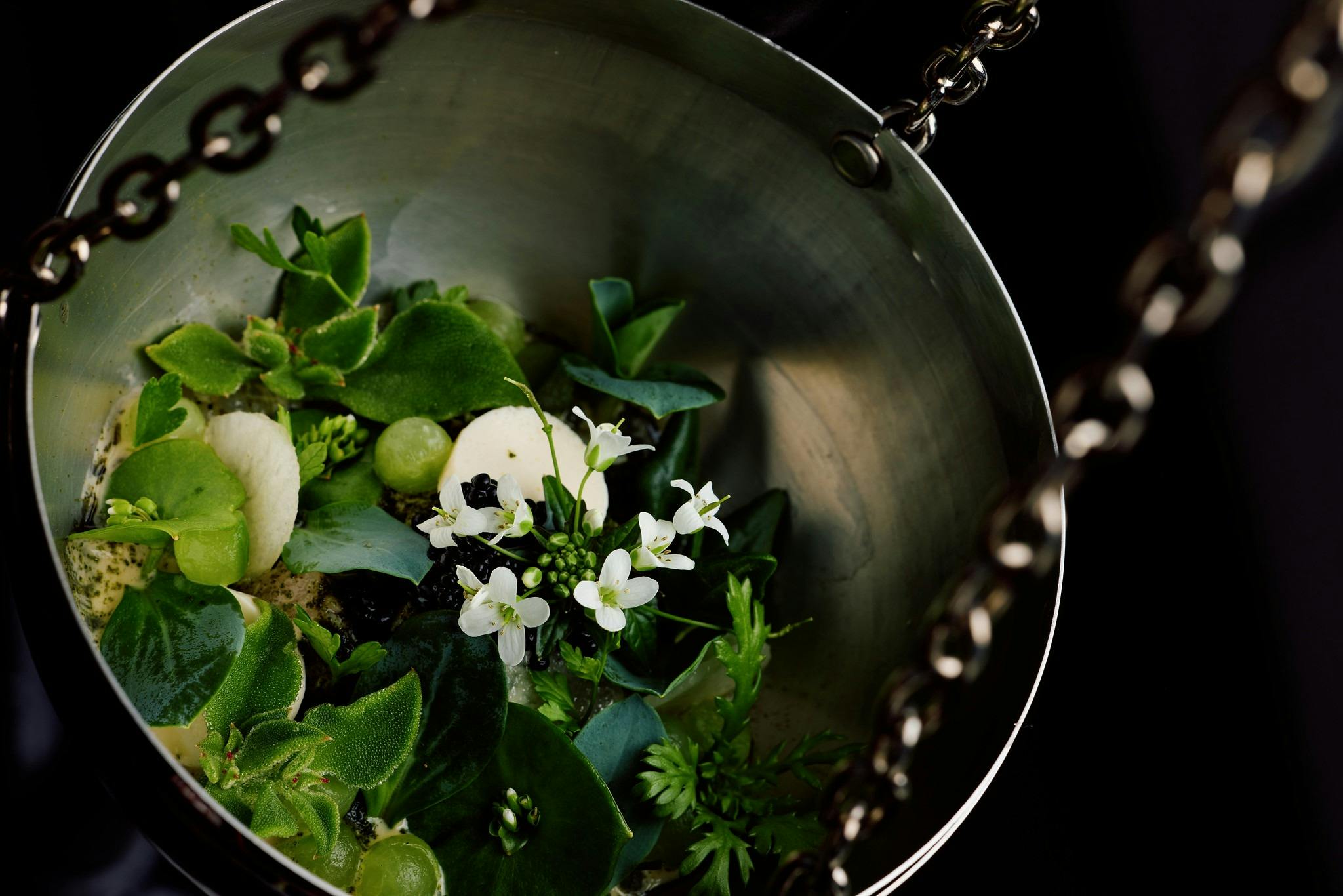 Faro Bar + Restaurant_Coastal Sphere