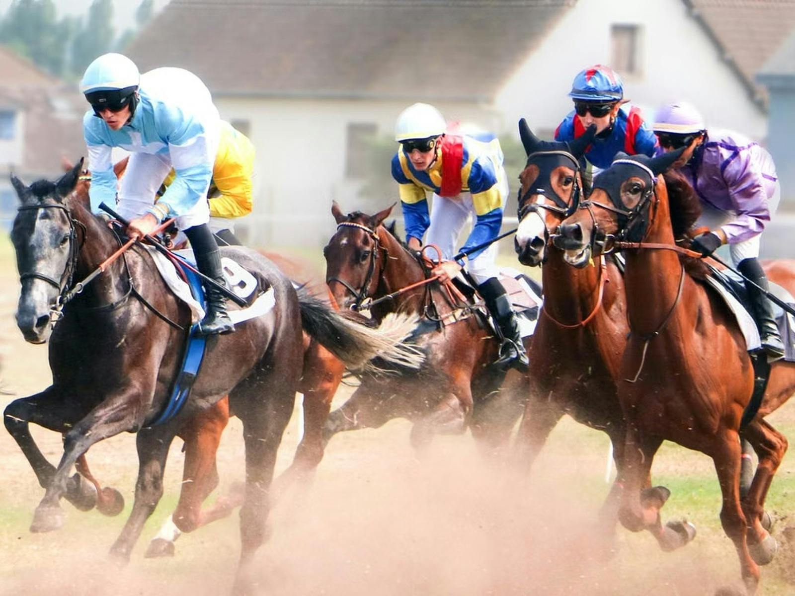 Horse racing