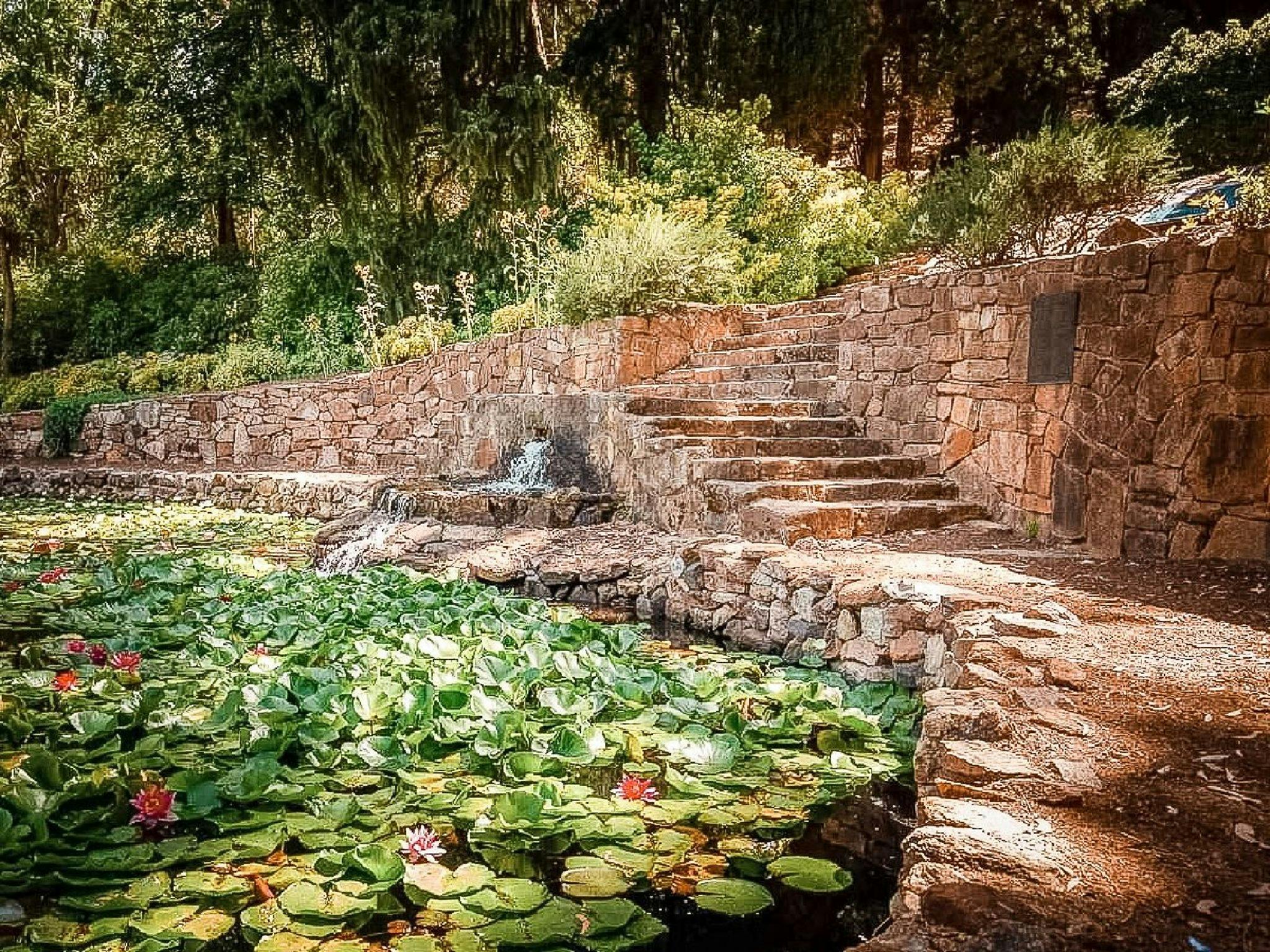 Araluen Botanic Park Hidden Secrets