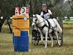 One man steering a white horse through the middle of two poles painted as minions