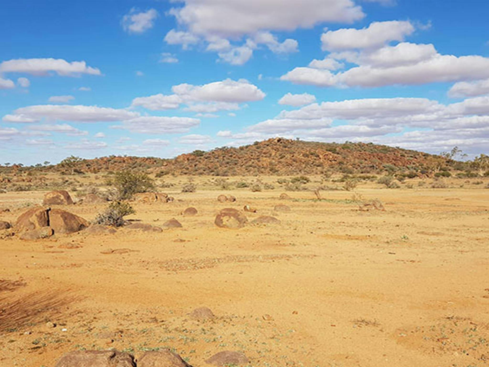 Dead Horse Gully campground in Sturt National Park. Photo: Amanda Cutlack/DPIE