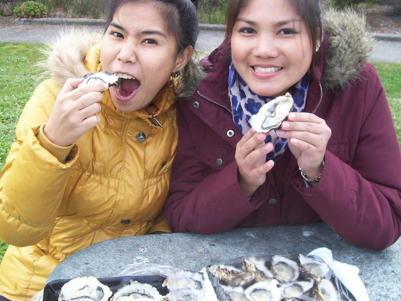 Fresh oyster tasting on the Bay Of Fires tour