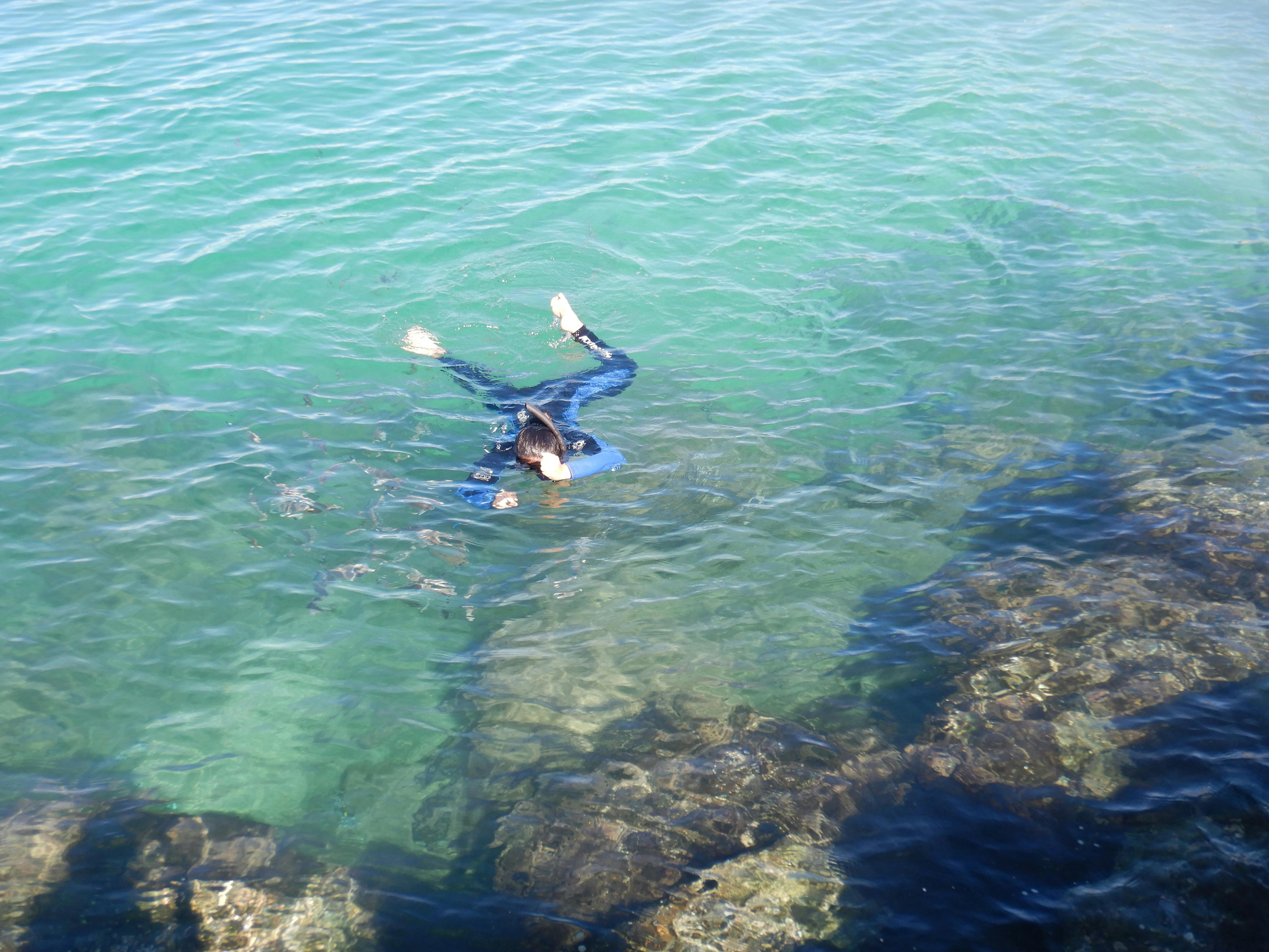 snorkelling