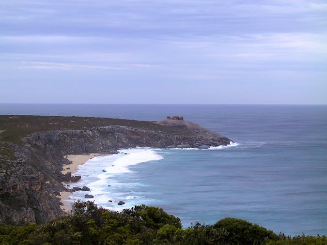 576 Kangaroo Island CruiseFly Day Tour
