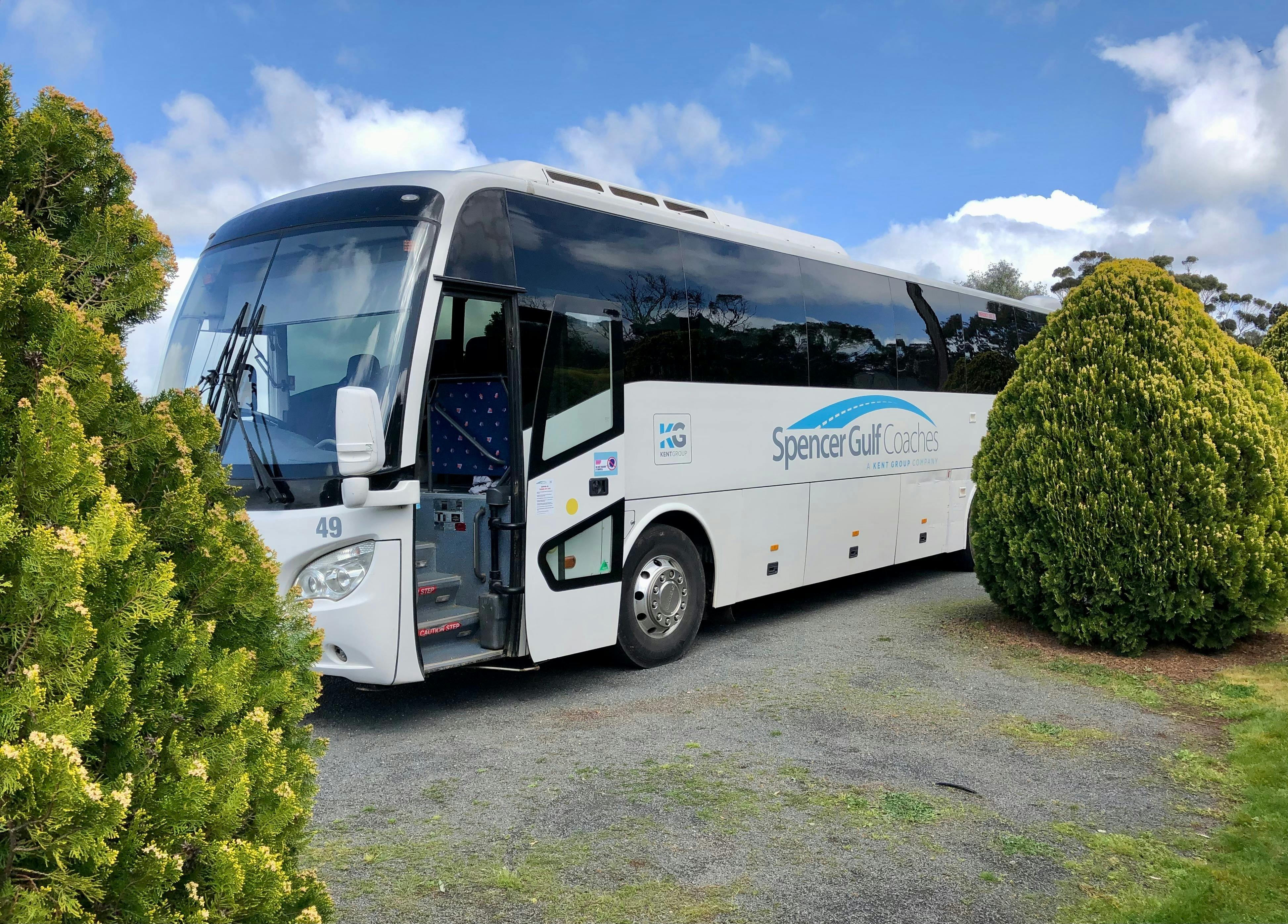 Large bus with conifers either side