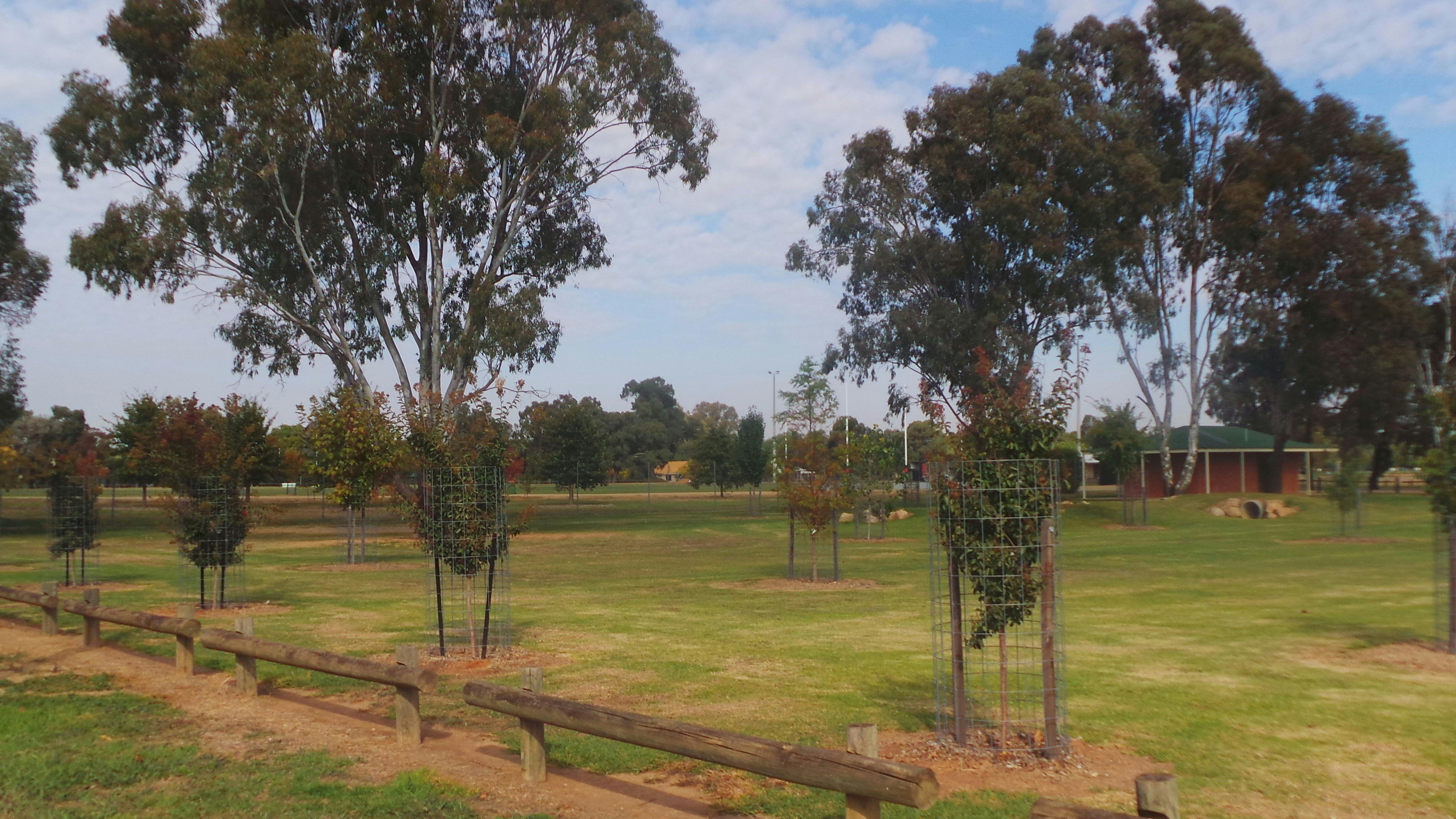 Plenty of room for picnics or just to run around and play at Lowe square Howlong