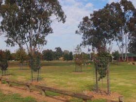 Plenty of room for picnics or just to run around and play at Lowe square Howlong