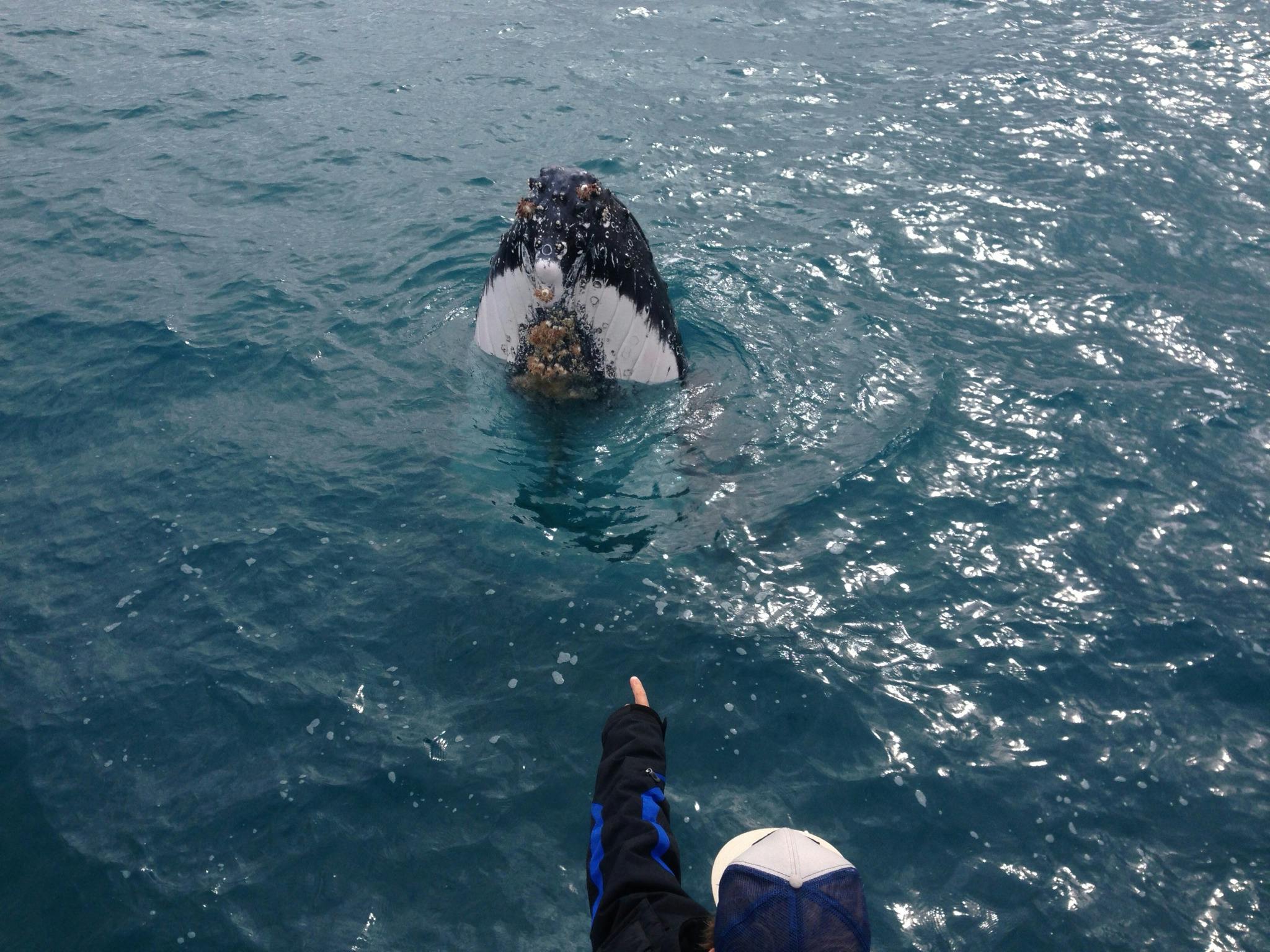 Reefwalker Charters, Kalbarri, Western Australia