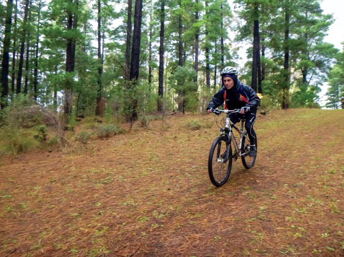 Go Mountain Biking