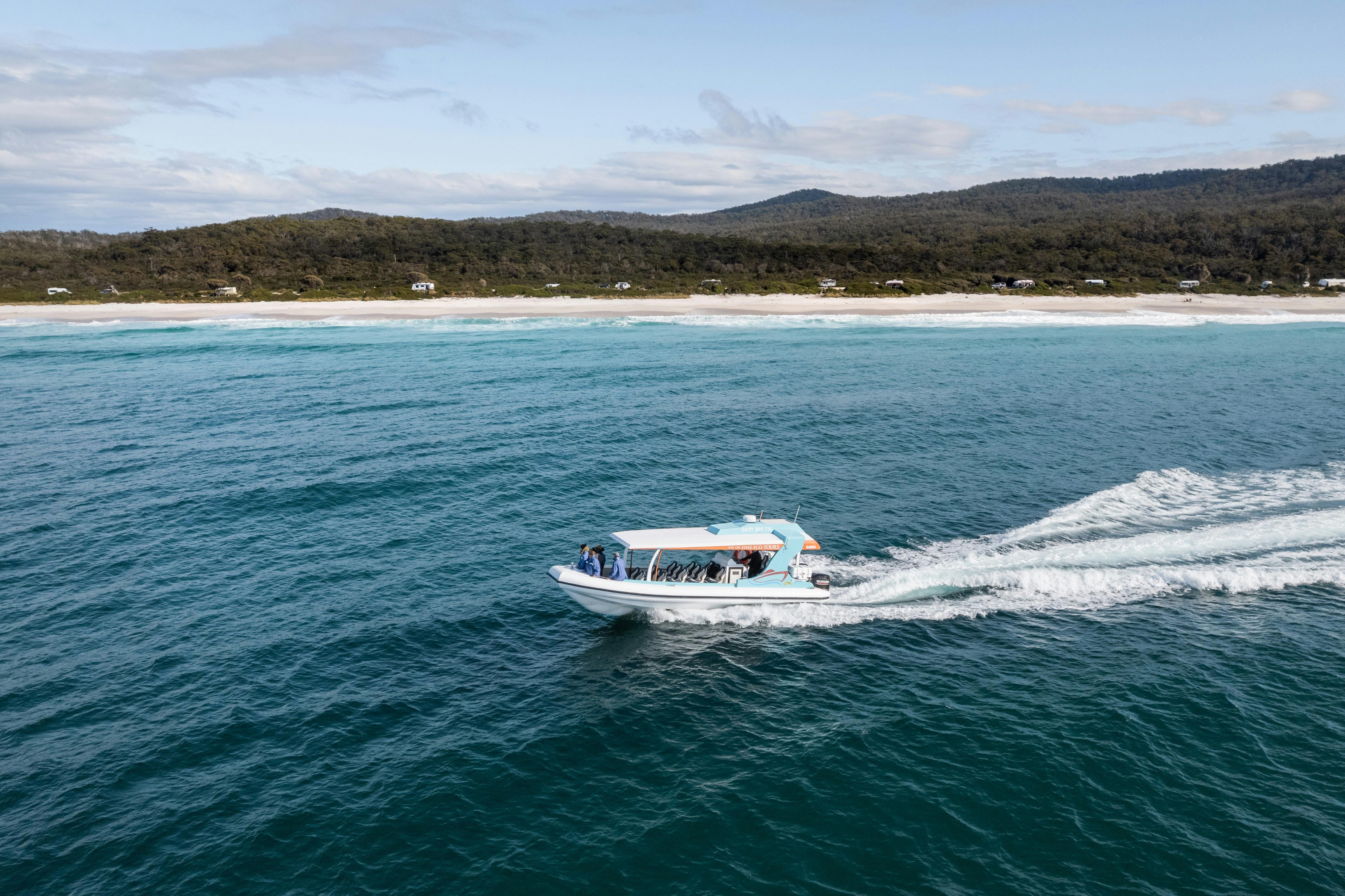 Boat at Taylors