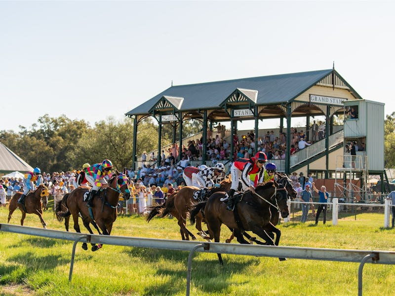 Picnic Races Lockhart