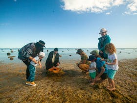 Explore the rich marine life of Australiau2019s coastline with Focused Expeditions.