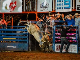 Bull Rider bucks out the chutes