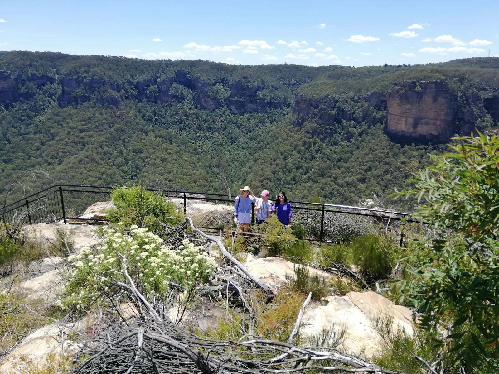 bluemountaintour