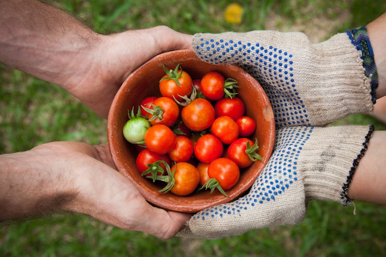 Youth Food Matters