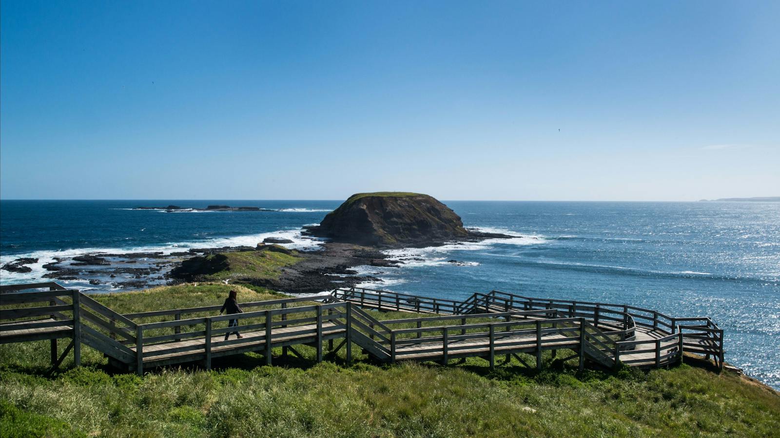 Phillip Island Private Tour