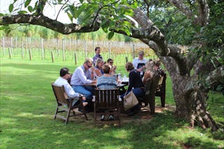 Tash Maree Travel - Wine Tasting Tours