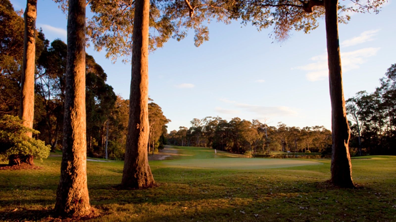 Narooma Golf Club