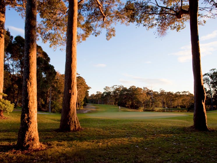 Narooma Golf Club