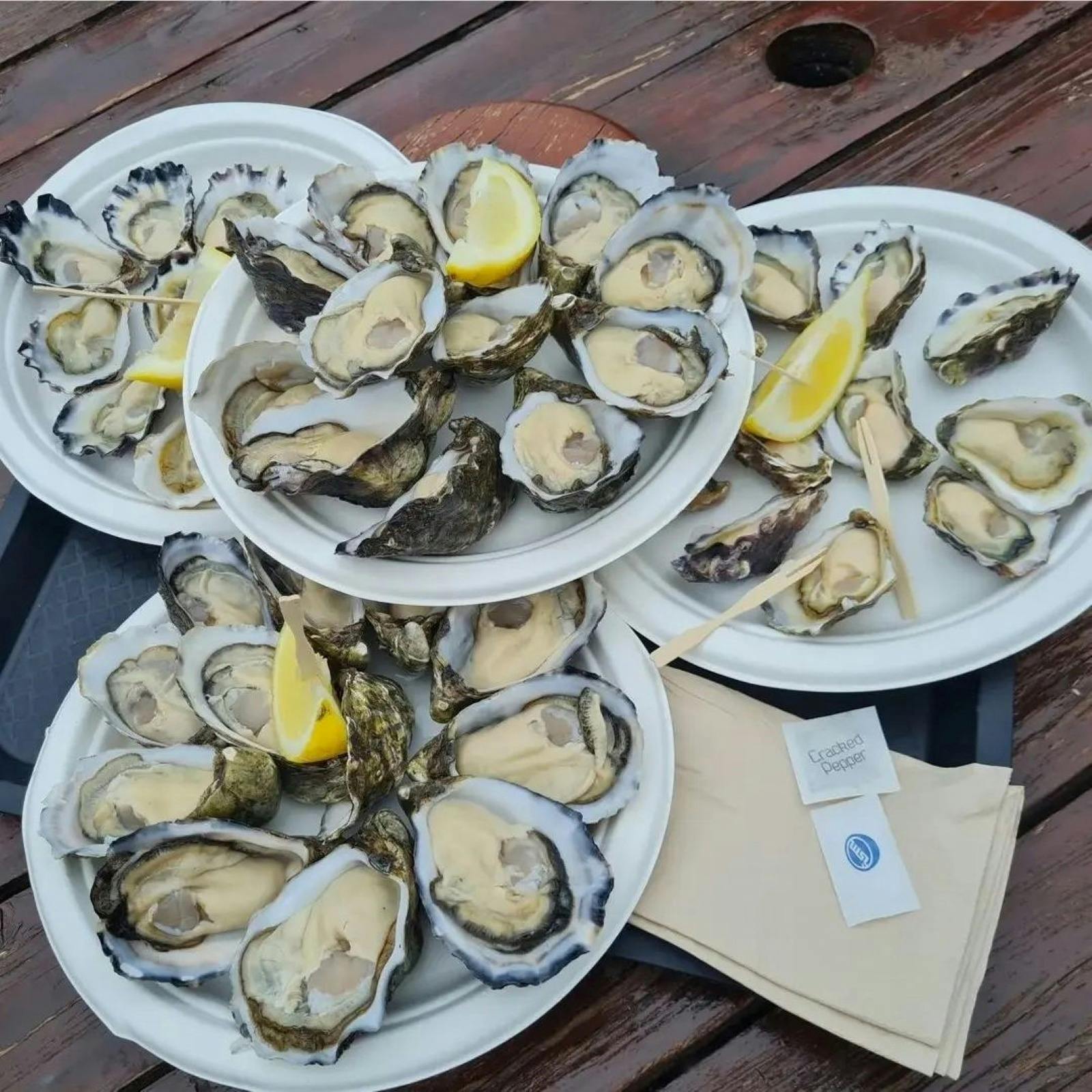 Pacific Oysters